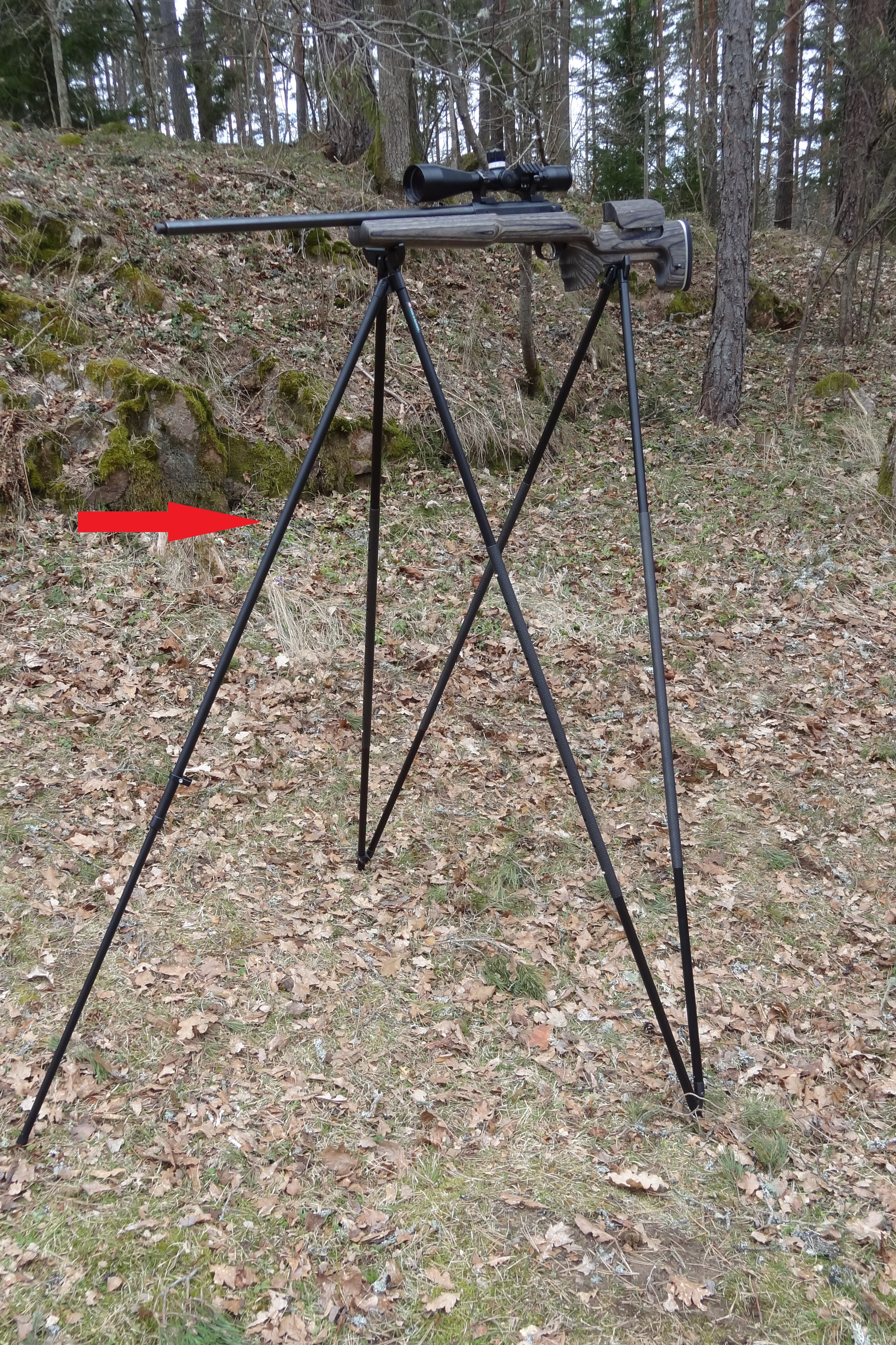 Single Leg Journey Styx Journey