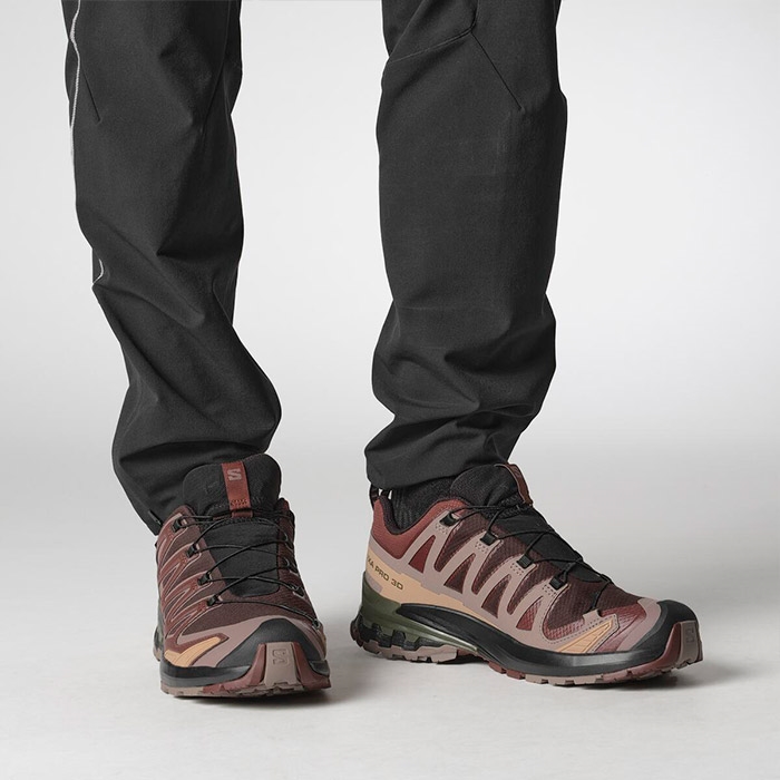 Salomon Xa Pro  D V  Gtx Herre   Mænd  Blk Coffee R Raisin    Uk     Vandresko