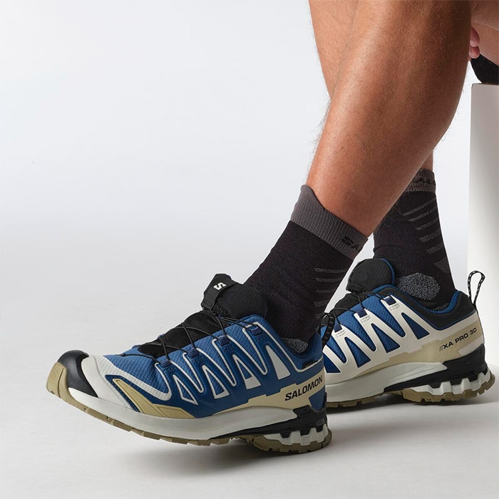 Salomon Xa Pro  D V  Gtx Herre   Mænd  D Blue Icicle    Uk     Vandresko