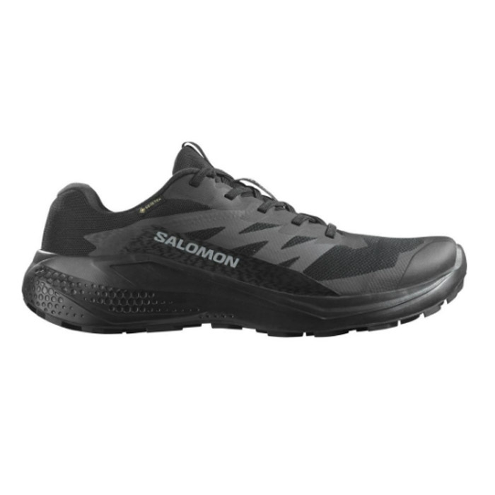 Salomon Alphaglide Gtx Herre   Mænd  Black    Uk     Vandresko