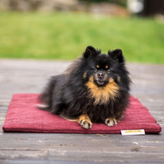 Siccaro   Flexdog Drying Mat   Mini
