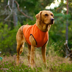 Siccaro   Pro Tect Pro   Large