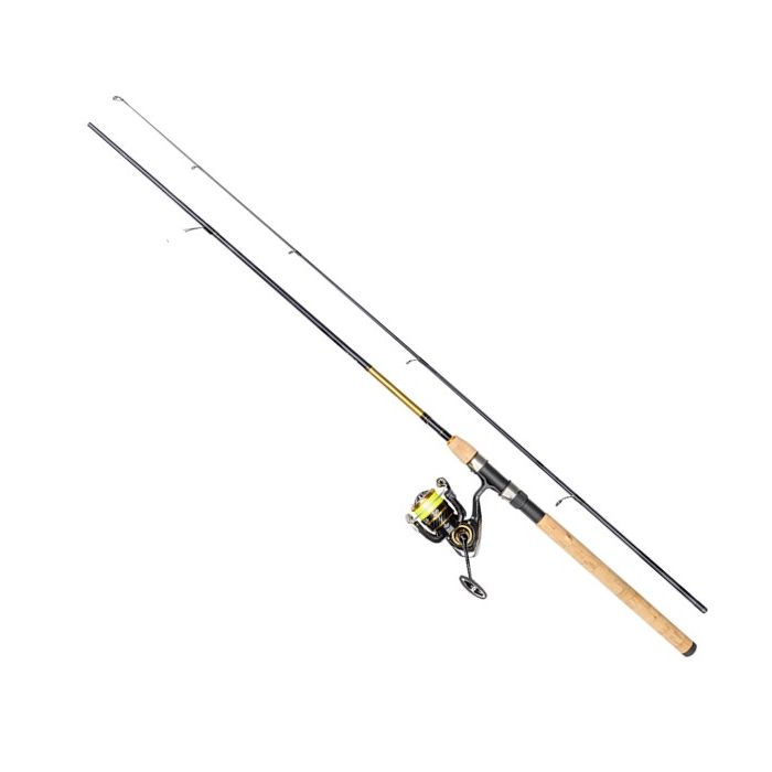 Daiwa Gold Rush Lt  Delt Sæt Inkl  Line