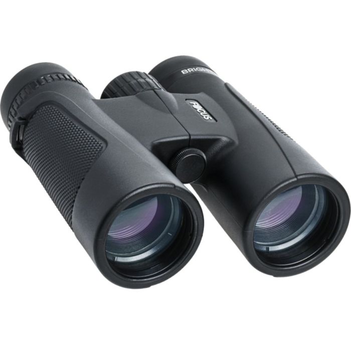 Focus Bright Kikkert X