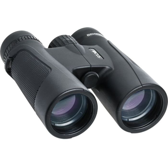 Focus Bright Kikkert X