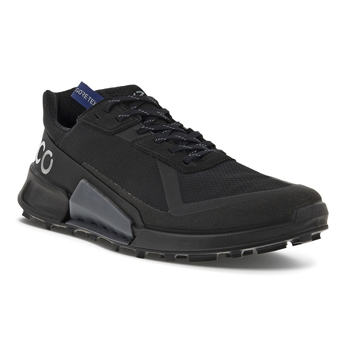 Ecco Biom   Country Gtx  Black Black