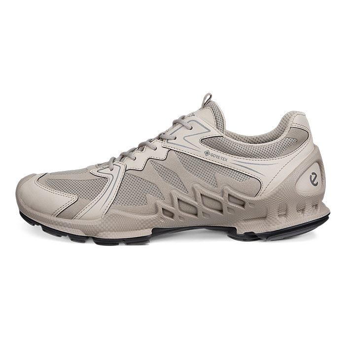 Mød Ecco Biom Aex Gtx Tex Herre Mænd Moon Rock Vandresko