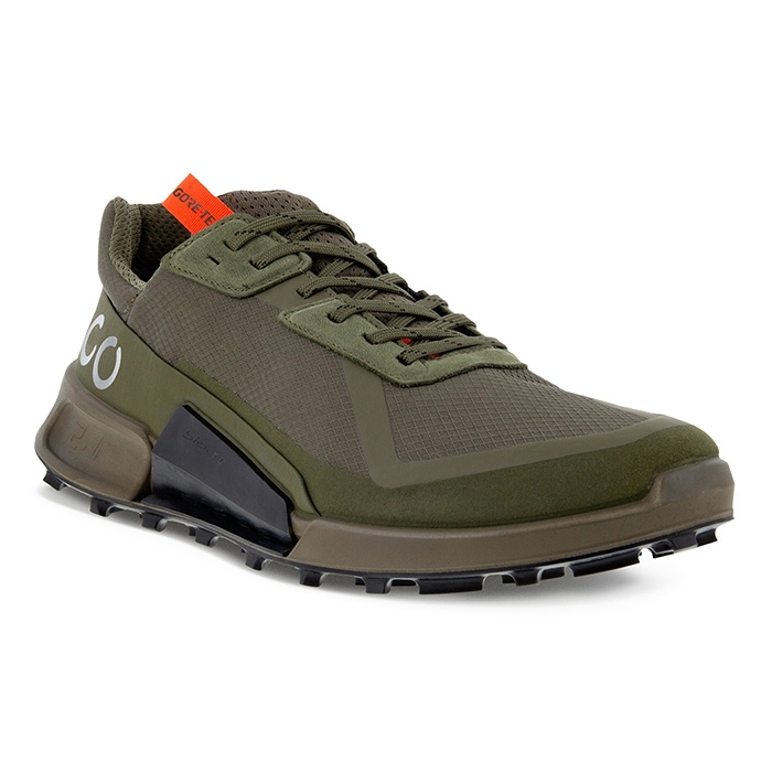 Ecco Biom   Country Gtx  Tarmac Grape Leaf