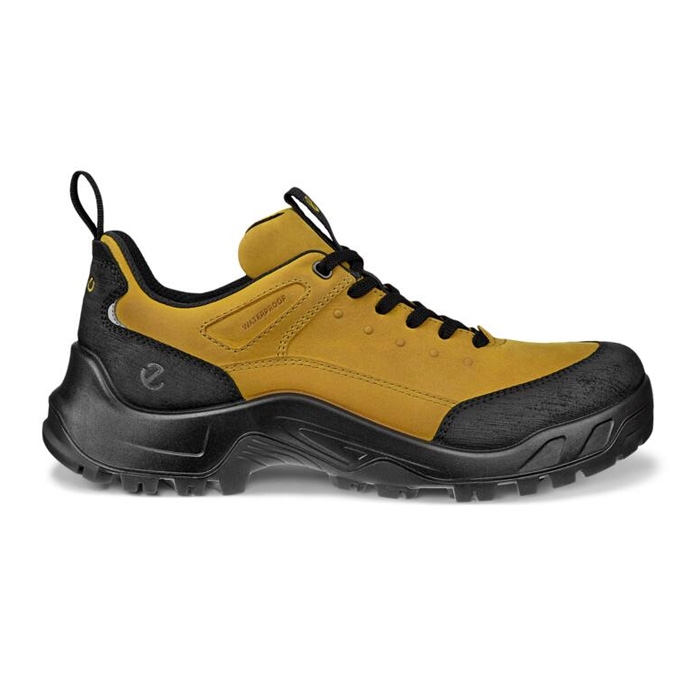 Ecco Offroad Leather Waterproof V  Men  Black Olive Oil