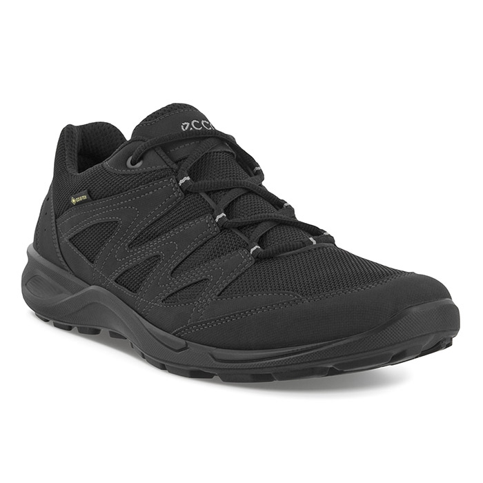 Ecco Terracruise Lt Gtx Men  Black