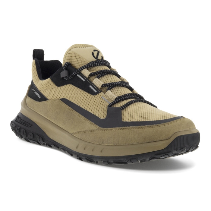 Ecco Ult Trn Waterproof Men  Nutmeg Brown